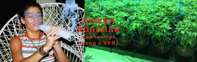 Шишки марихуана White Widow  kraken вход  Гаджиево 